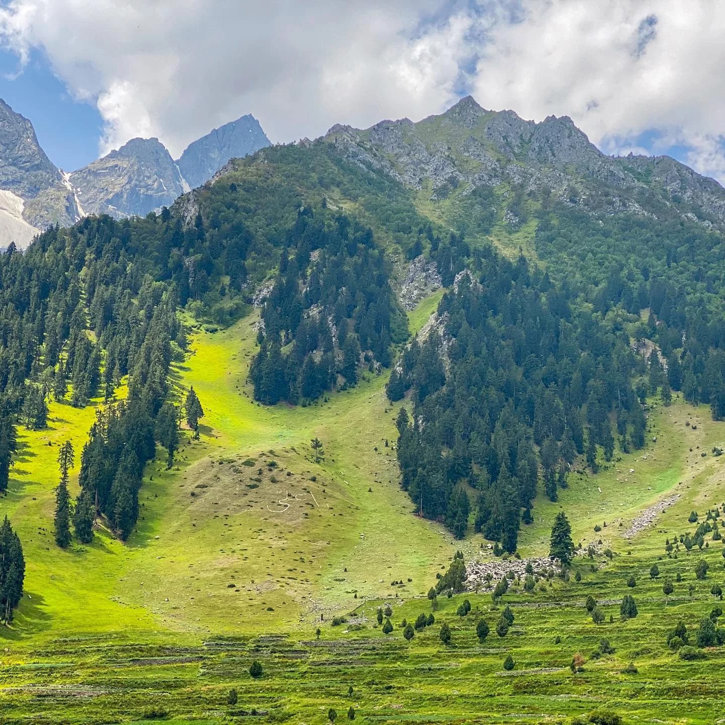 Naltar Valley