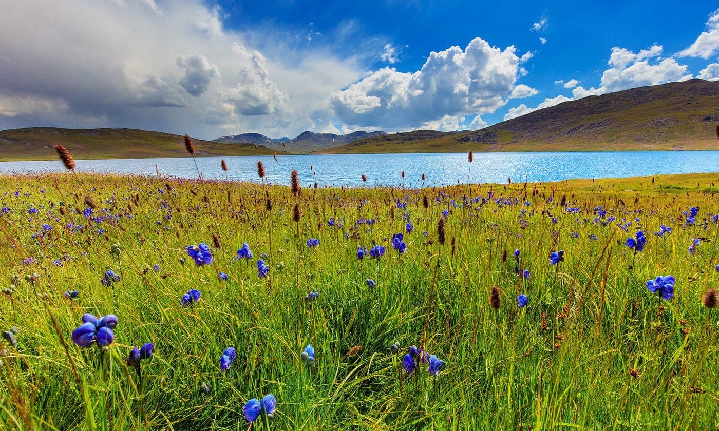 Deosai Plains